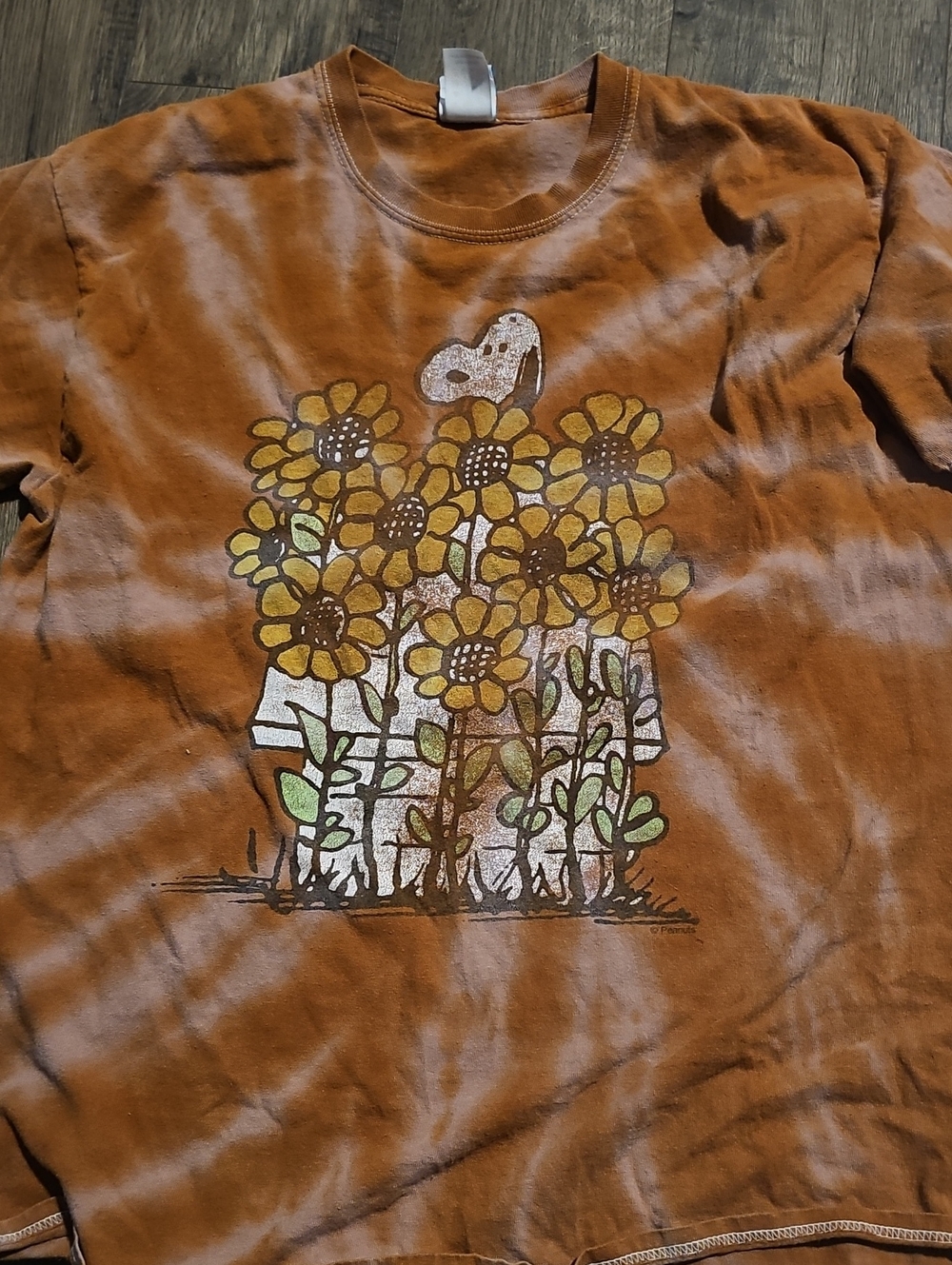 Junk Food Peanuts Snoopy 100% Cotton Vintage Tie Dye Tee Shirt Medium Retro